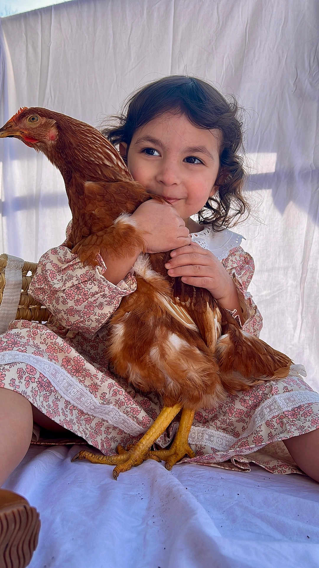 Caetana a rejoint le concours — aidez-le/la à gagner de superbes lots ! child, girl, chicken, animal, pet, hug, floral_dress, curly_hair, smile, outdoor, white_background, yellow_legs, feathers, cute, portrait, sitting, basket, natural_light, happy, closeup