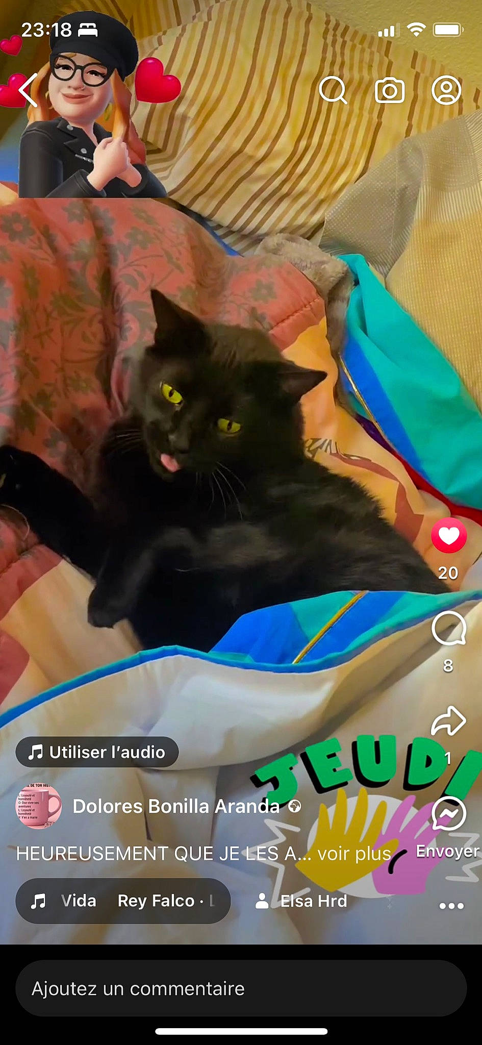 Cooky participe au concours pour gagner de l'argent avec cette photo : bag, black_cat, bombay, carnivore, cat, cat_supply, comfort, domestic_short_haired_cat, electric_blue, felidae, font, fur, gesture, logo, paw, photo_caption, recreation, small_to_medium_sized_cats, tail, whiskers