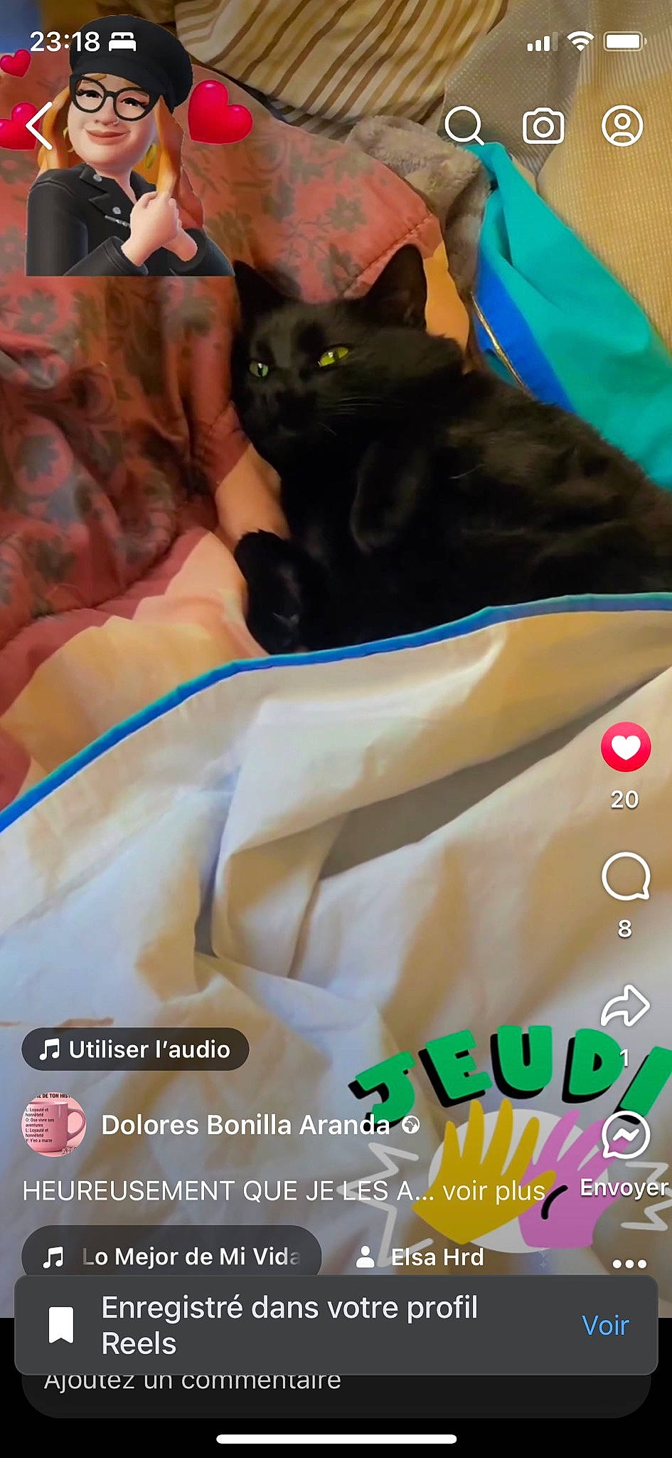 Cooky a rejoint le concours — aidez-le/la à gagner de superbes lots ! bag, black_cat, bombay, carnivore, cat, comfort, domestic_short_haired_cat, felidae, font, fur, gesture, linens, logo, photo_caption, small_to_medium_sized_cats, snout, tail, thigh, whiskers