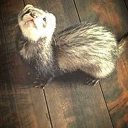 Charly a rejoint le concours — aidez-le/la à gagner de superbes lots !