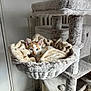 cat, kitten, cat_tree, blanket, indoor, cozy, pet, furniture, plush, curious, orange_and_white, resting, home, animal, soft, cute, comfy, young_cat, fur, relaxing