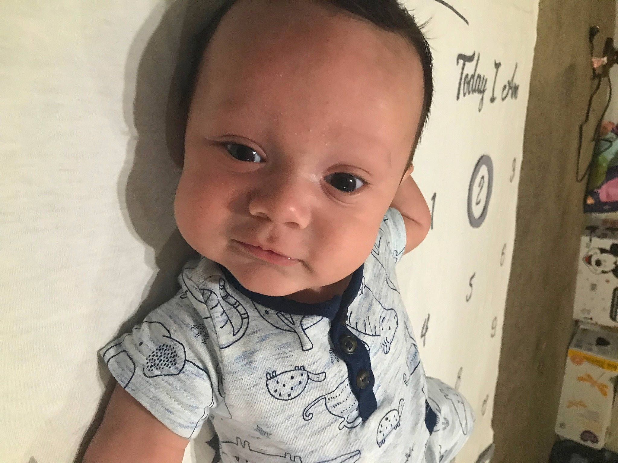 Jaivyn Quentin Zee Maxwell is registered to the contest to win money with this photo: baby, cheek, child, chin, cool, ear, eye, eyebrow, face, forehead, hair, head, lip, neck, nose, organ, person, skin, smile, t_shirt