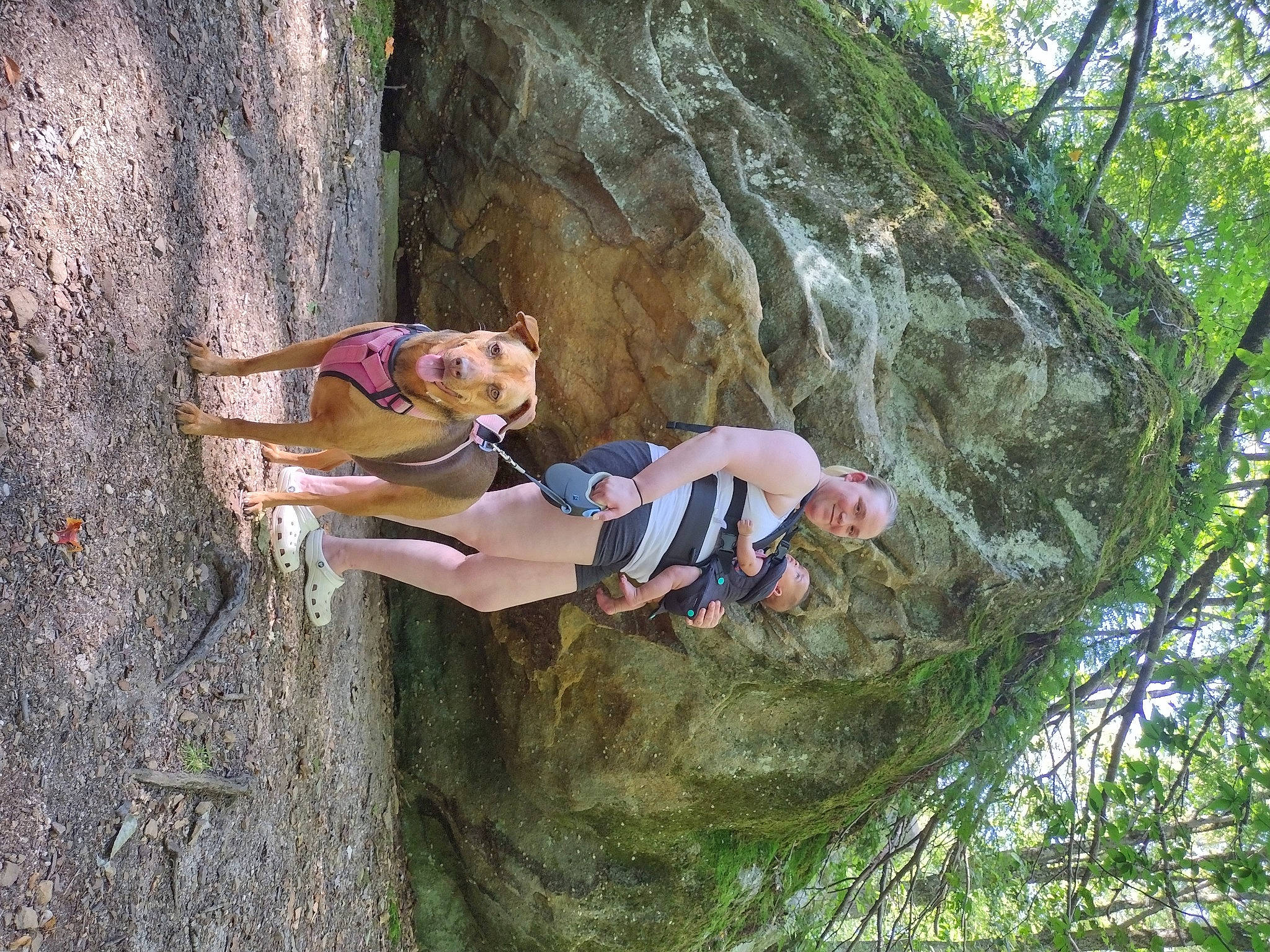 Brinley is registered to the contest to win money with this photo: adventure, bedrock, forest, fun, grass, jungle, landscape, leisure, outcrop, people_in_nature, plant, recreation, rock, rope, shorts, sport_climbing, tree, trunk, vacation, wood