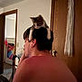 person, cat, kitten, indoor, earphones, shirtless, door, wooden_door, poster, furniture, room, pet, curious_cat, sitting, animal, paws, head, back, cozy, home