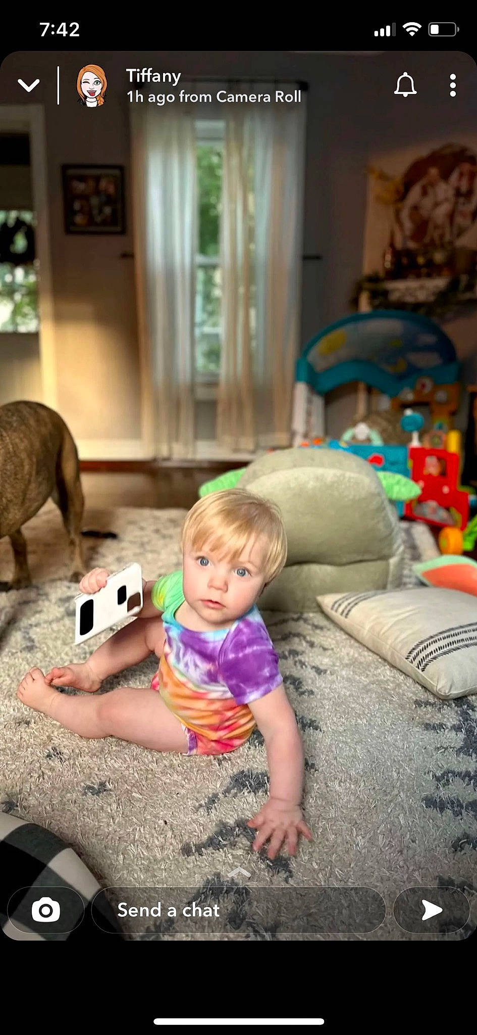 Rowan is registered to the contest to win money with this photo: baby, child, comfort, companion_dog, couch, curtain, flooring, fun, holiday, leisure, living_room, person, play, recreation, room, sitting, terrestrial_animal, toddler, toy, tree