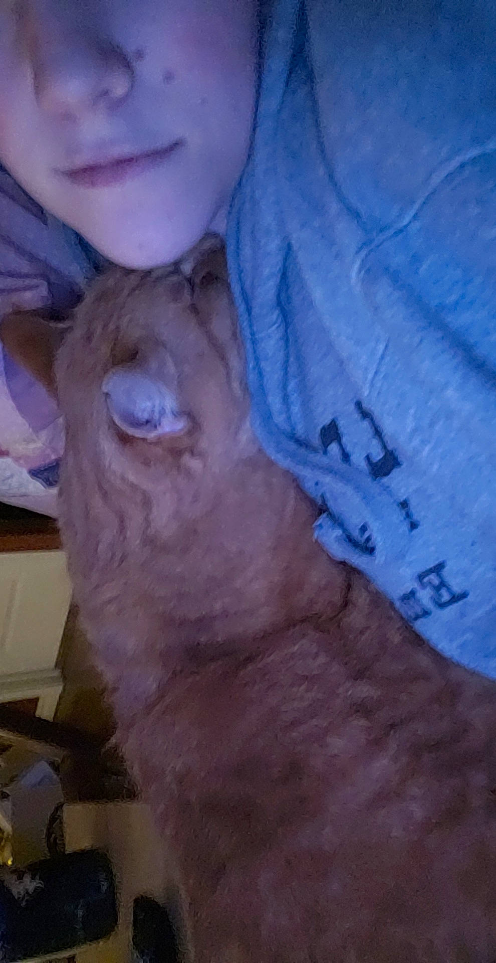 Pumpkin joined the competition — help win amazing prizes! ear, fawn, mouth, neck, nose, organ, skin, snout, wrinkle