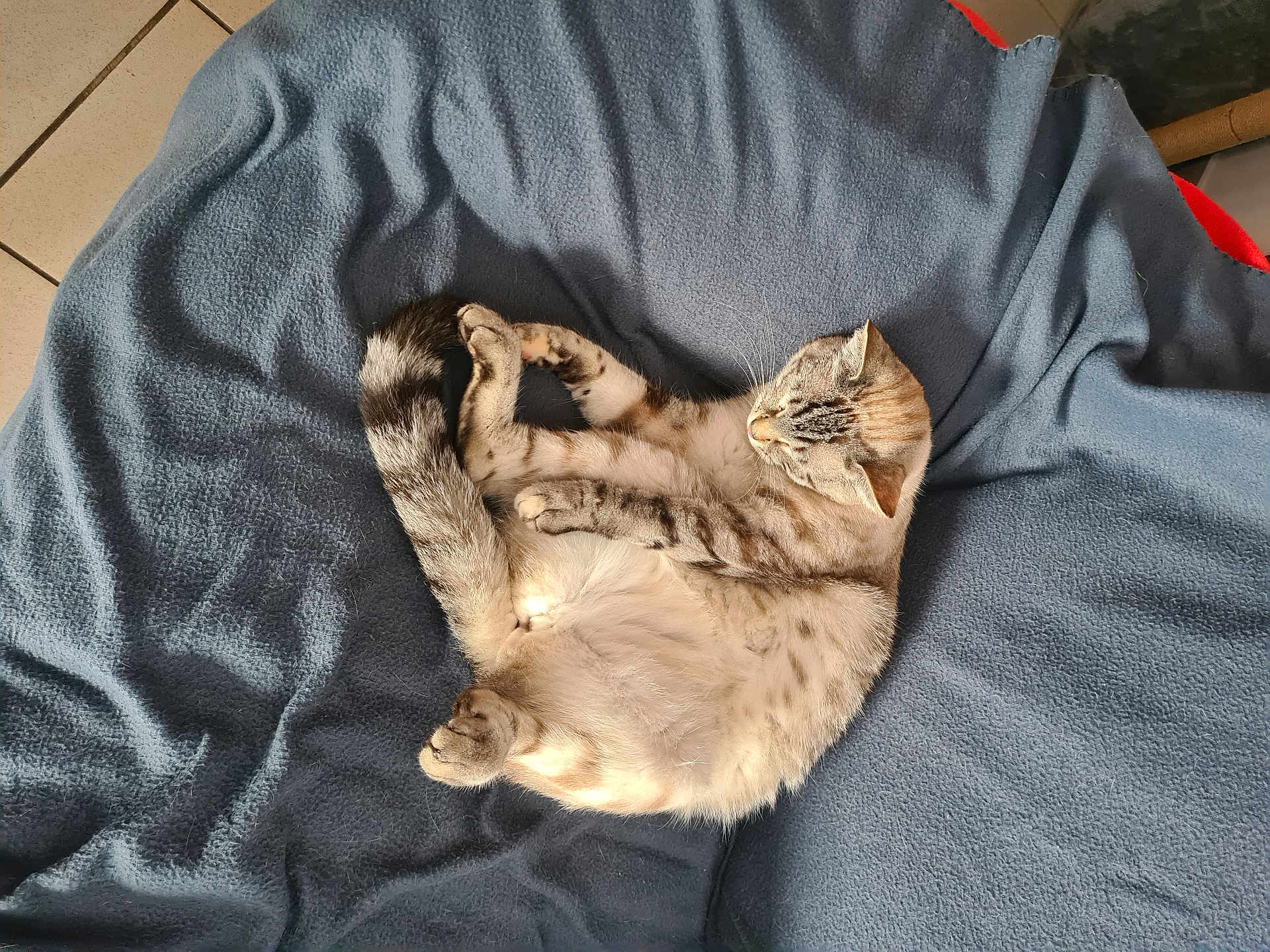 Vanille