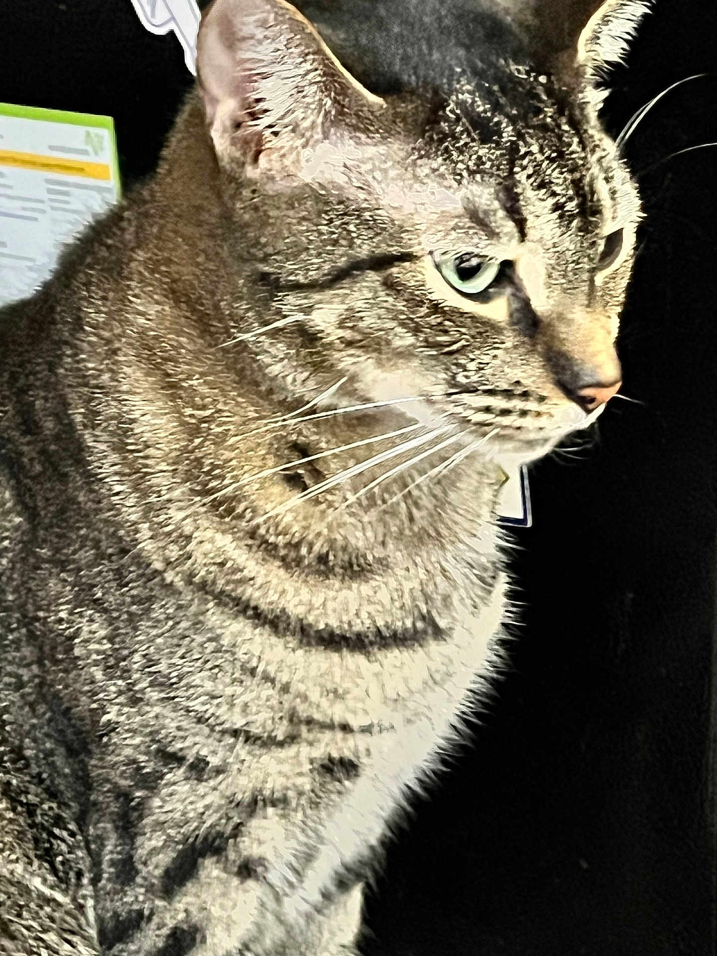 Slinky