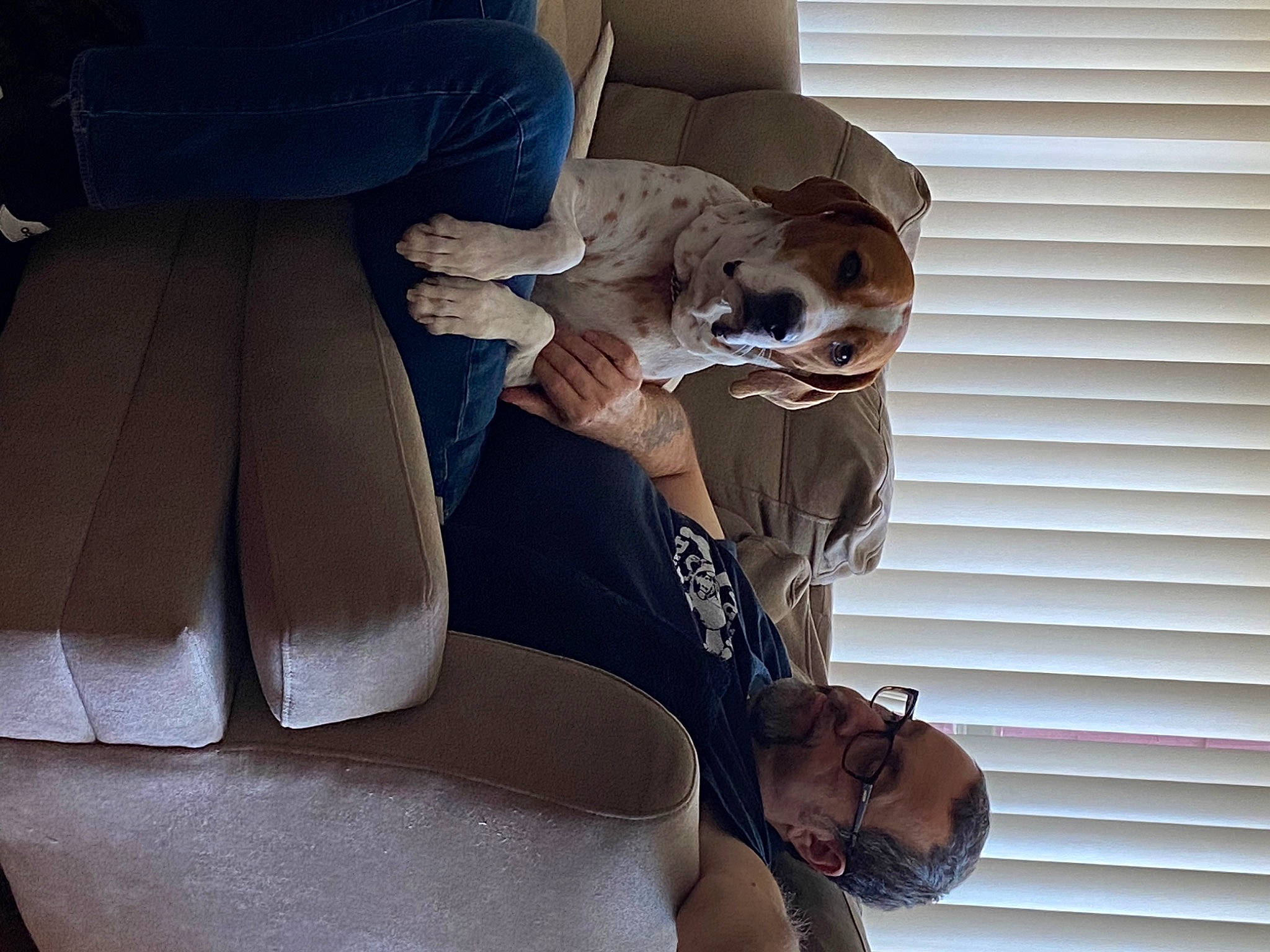 Sarge is registered to the contest to win money with this photo: auto_part, car_seat, car_seat_cover, carnivore, comfort, companion_dog, dog, dog_breed, eyewear, family_car, head_restraint, human_leg, luxury_vehicle, personal_luxury_car, sitting, sunglasses, textile, thigh, vehicle_door, window_blind