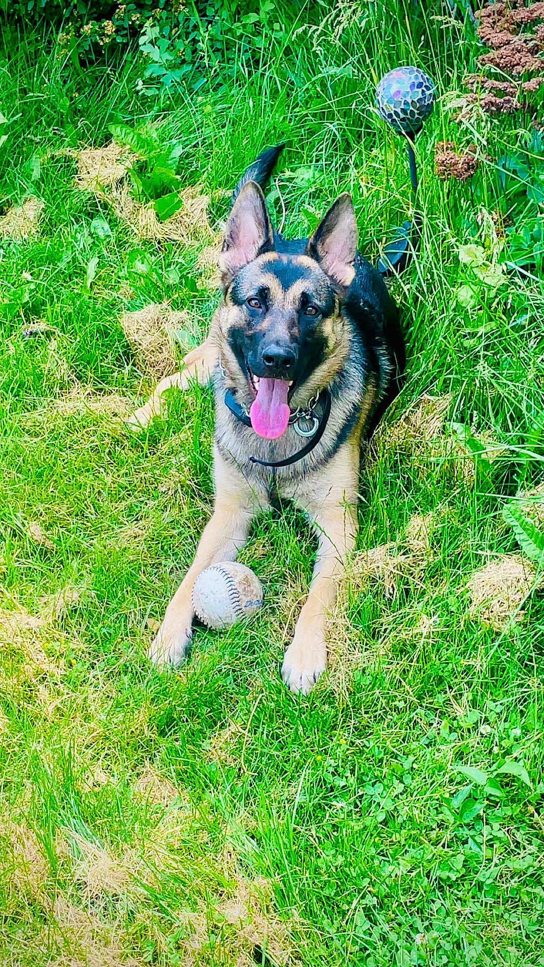 Oakley