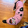 dog, pink_clothing, cartoon_face, pet, animal, wooden_floor, indoor, pet_food, food_bag, flooring, black_dog, clothing, costume, canine, playful, domestic_animal, funny, pet_accessory, standing, cute