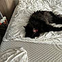cat, black_cat, bed, blanket, comforter, mattress, furniture, indoor, sleeping, yawning, pet, animal, cozy, fur, resting, white, textured, soft, home, relaxing