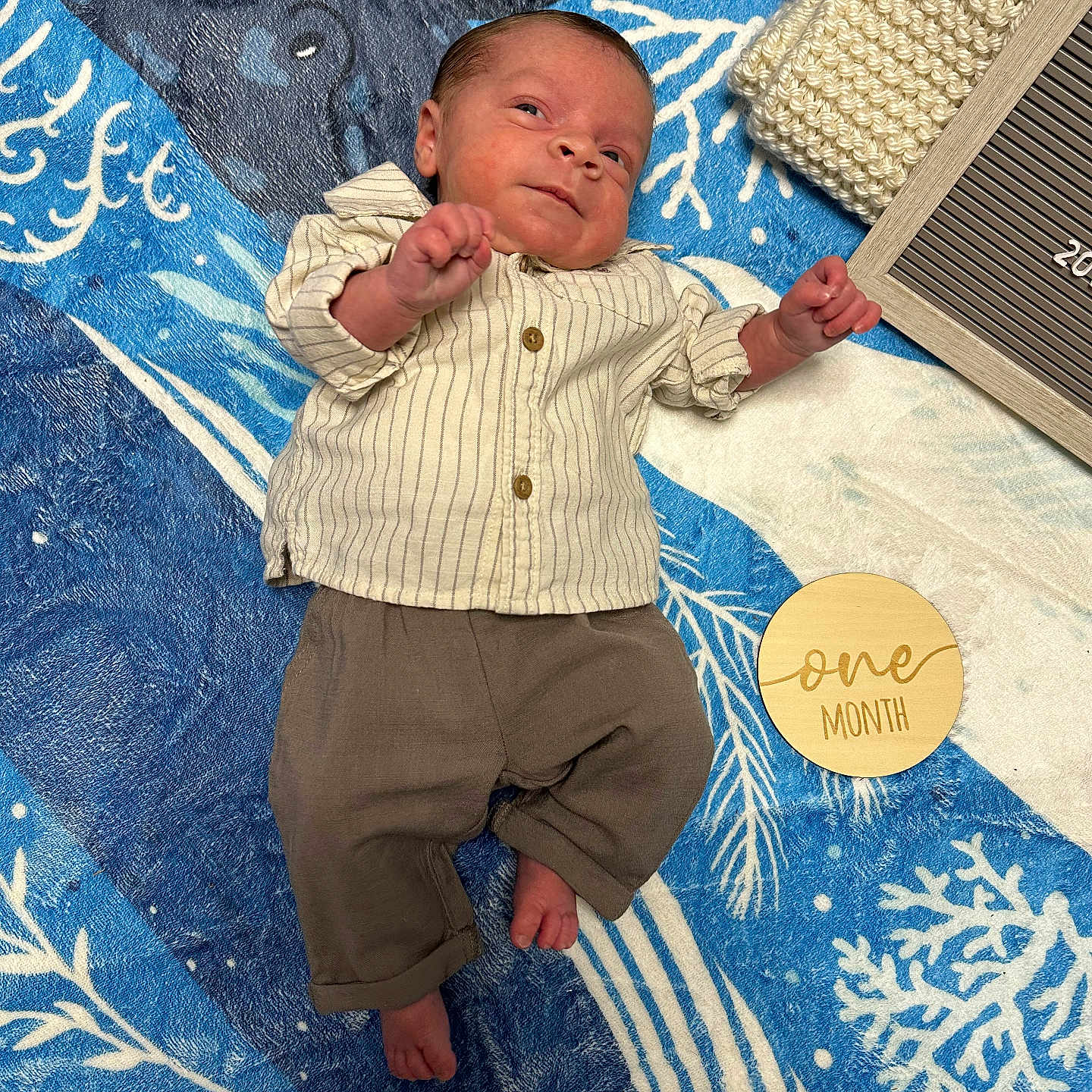 Daxton joined the competition — help win amazing prizes! accessories, animal, baby, bird, bodypart, clothing, cushion, face, finger, hand, hat, head, homedecor, jeans, newborn, pants, person, photography, portrait, quilt