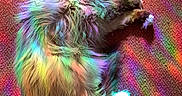 Montague is registered to the contest to win money with this photo: animal, bright, carpet, cat, colorful_light, cozy, cute, domestic, feline, fluffy, indoor, lying_down, multicolor, patterned_light, pet, rainbow_colors, relaxed, resting, shadow, soft_fur