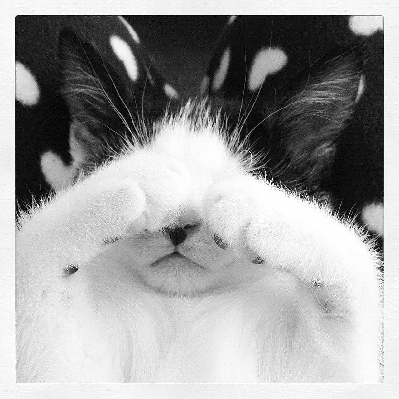 Ally Fabish is registered to the contest to win money with this photo:
