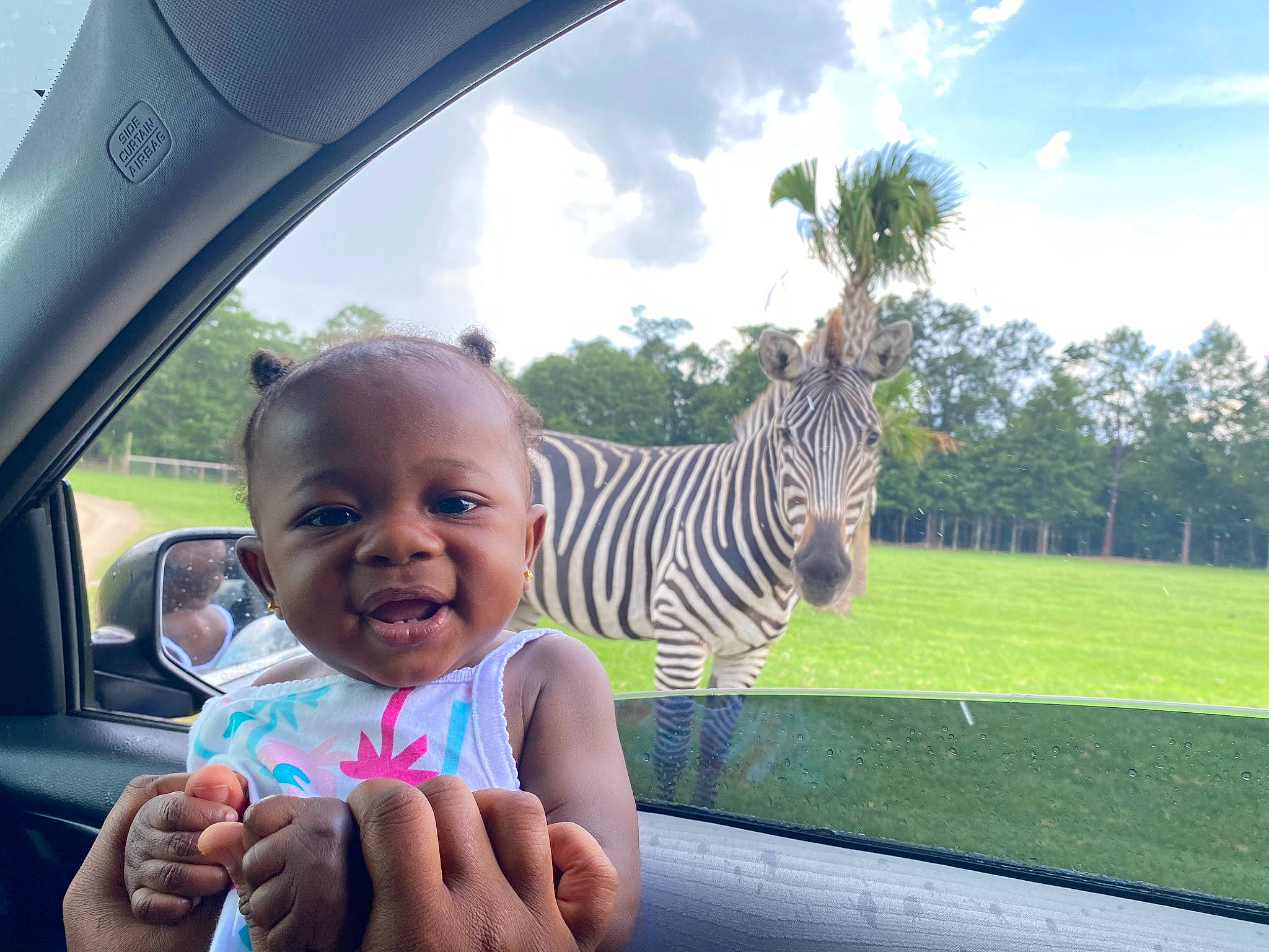 Tahani is registered to the contest to win money with this photo: baby, cloud, finger, gesture, giraffidae, grass, hand, happy, head, leaf, leisure, person, plant, sky, smile, thumb, toddler, travel, tree, window