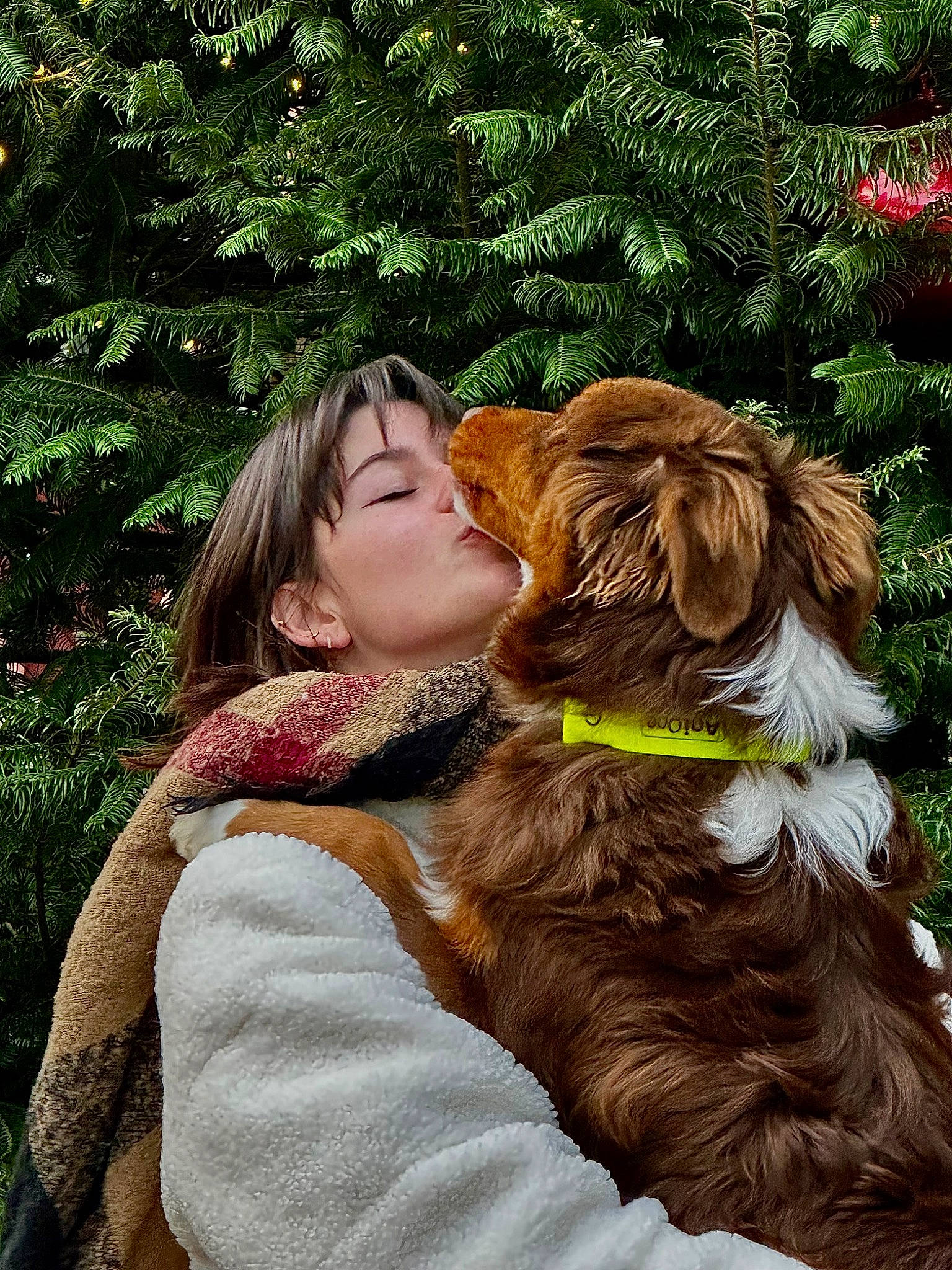 Toscane a rejoint le concours — aidez-le/la à gagner de superbes lots ! brown_hair, canidae, carnivore, companion_dog, dog, dog_breed, dog_collar, fawn, fur, gesture, giant_dog_breed, happy, hug, liver, long_hair, people_in_nature, spaniel, sporting_group, tree, working_animal