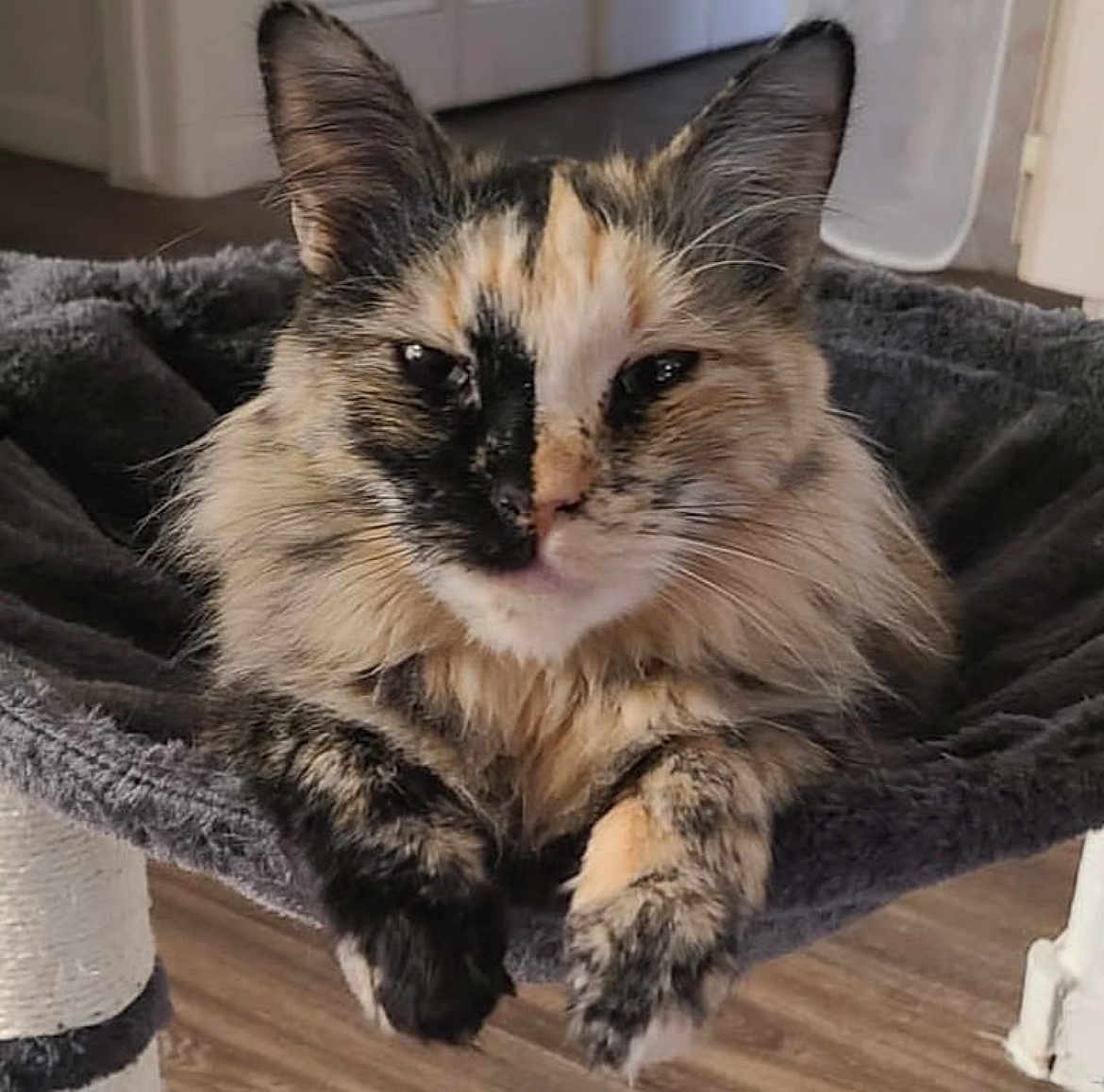 Ella