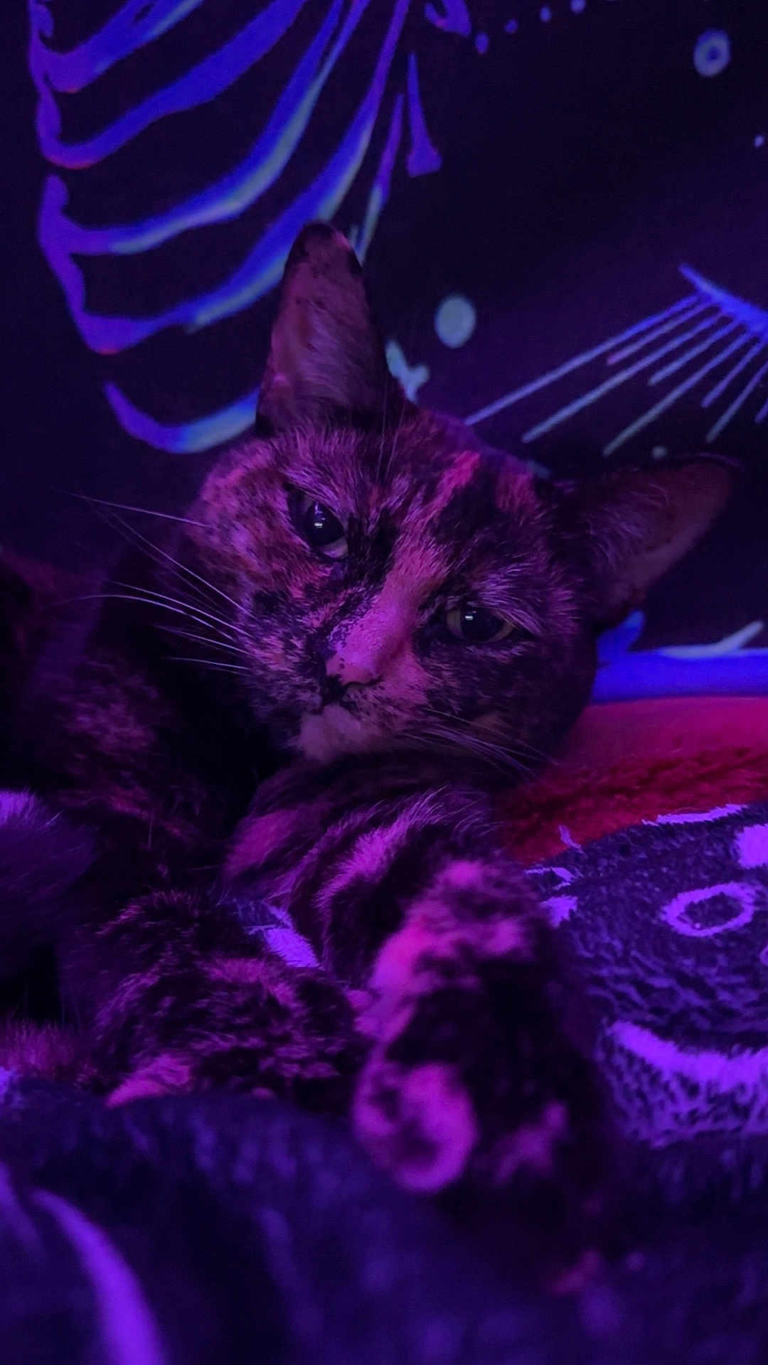 Rosie