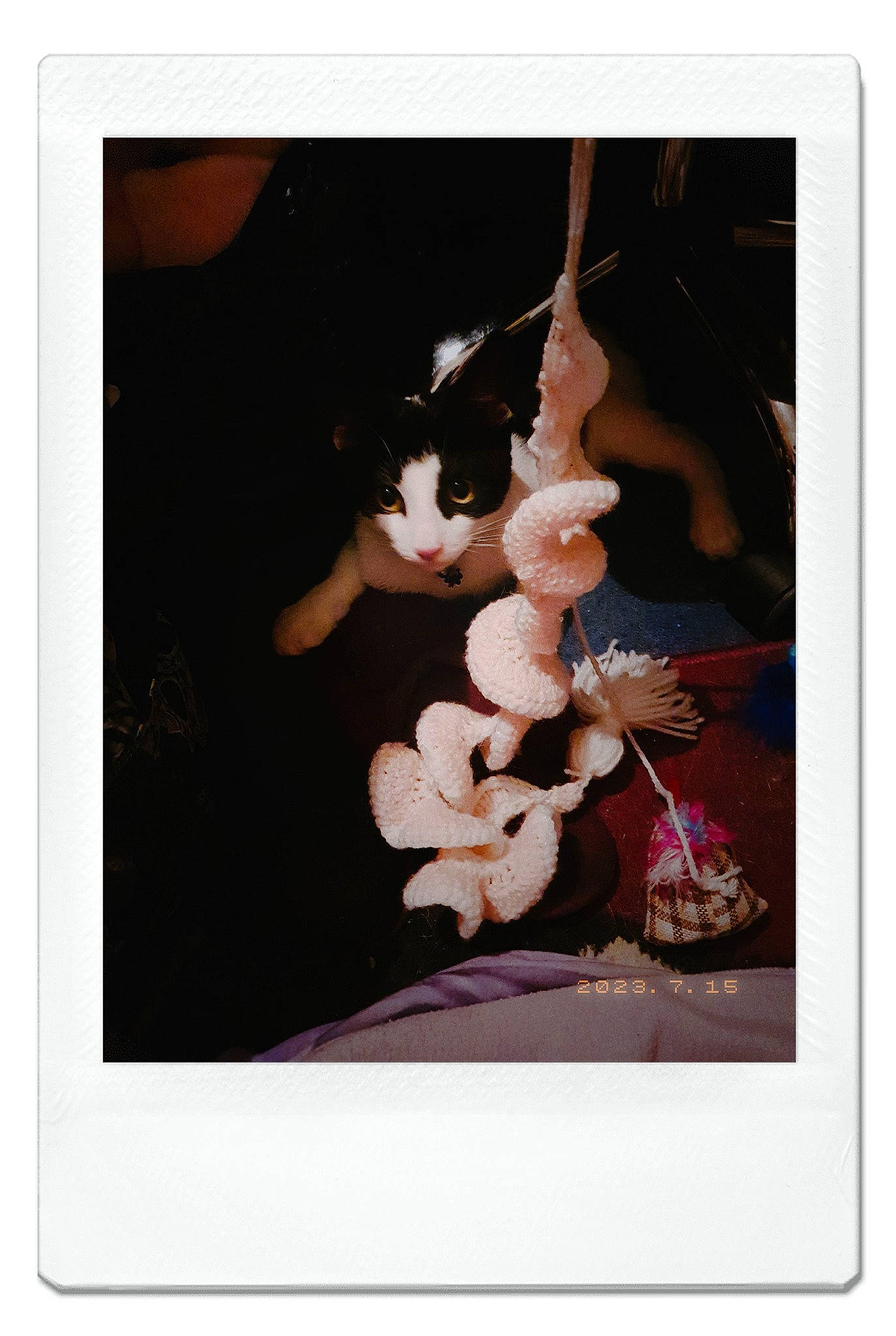 Yoongi joined the competition — help win amazing prizes! blossom, event, fashion_accessory, fictional_character, figurine, flowering_plant, formal_wear, illustration, linens, magenta, peach, petal, plant, rectangle, sitting, still_life_photography, stuffed_toy, teddy_bear, toy