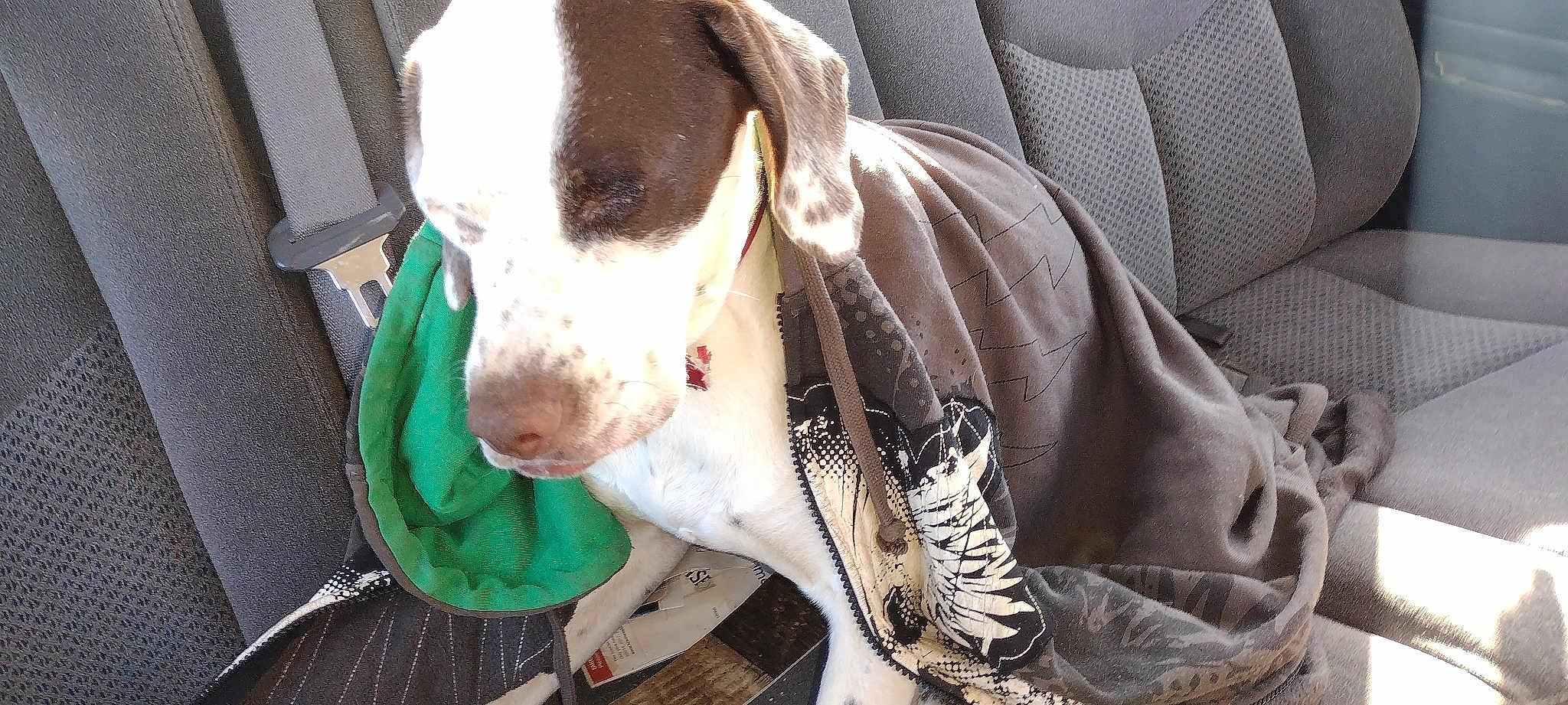 Pirate