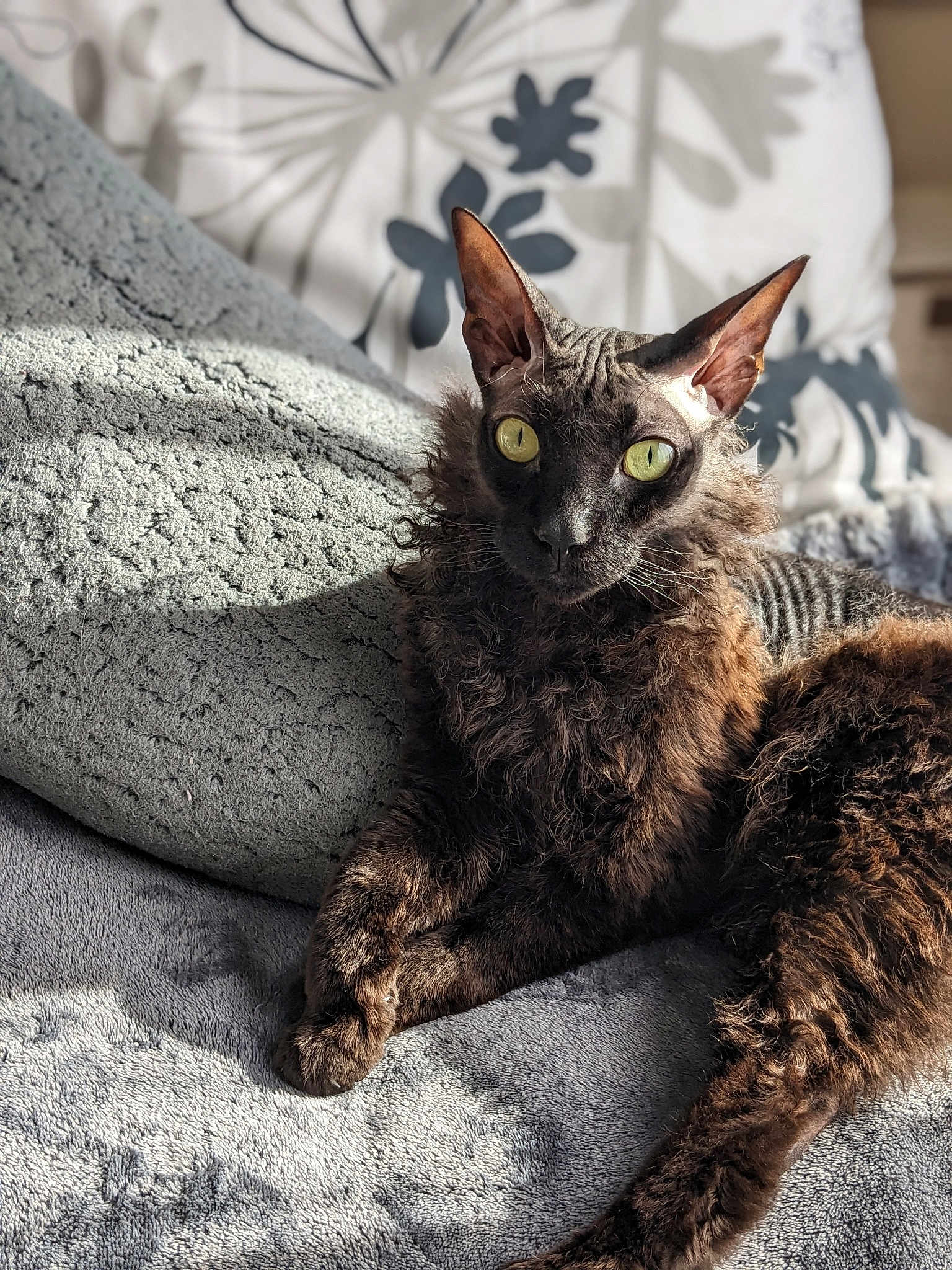Dobby