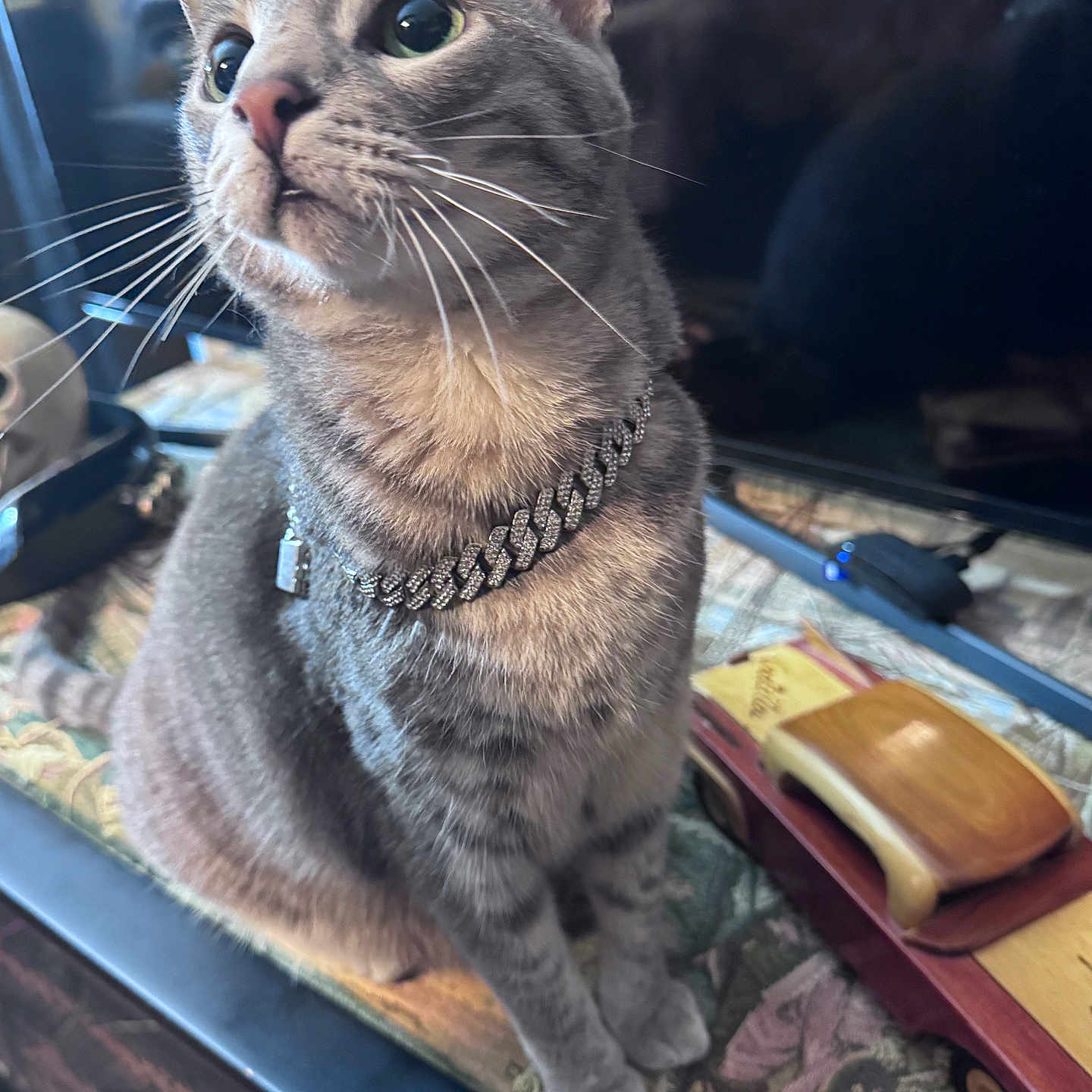 Bubby