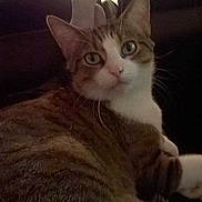 Gribouille participe au concours pour gagner de l'argent avec cette photo :