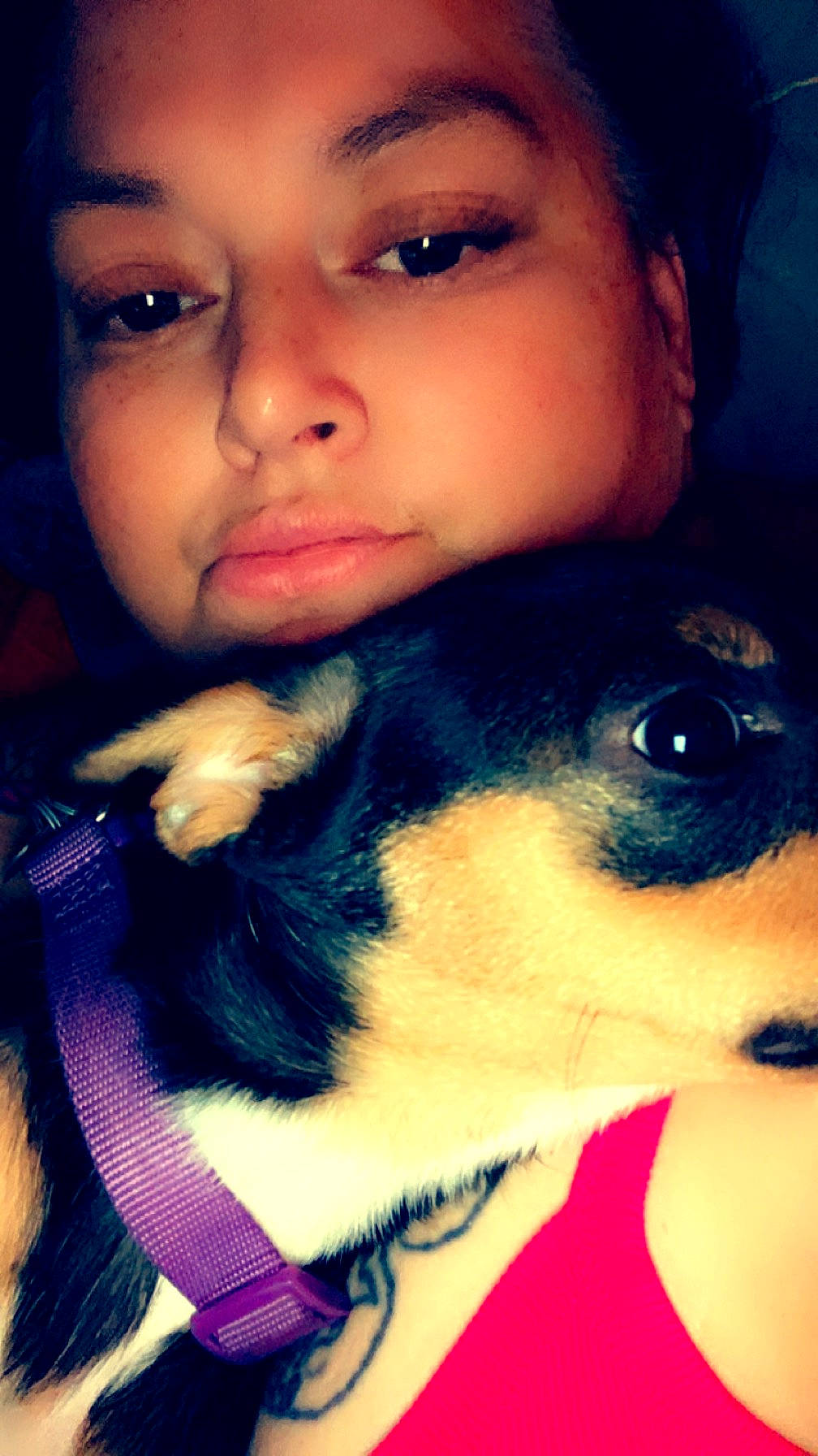 Gracie joined the competition — help win amazing prizes! azure, black, blue, carnivore, chin, dog, dog_breed, ear, eye, eyebrow, eyelash, hand, human_body, lip, mouth, neck, nose, organ, shoulder, skin