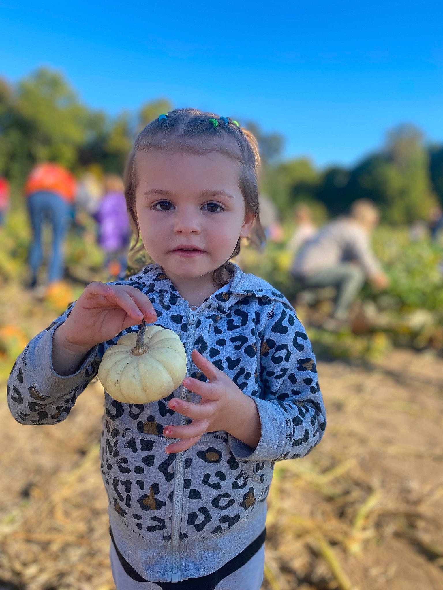 Kaidence is registered to the contest to win money with this photo: child, electric_blue, field, fun, gesture, grass, grass_family, grassland, happy, landscape, leaf, leisure, people_in_nature, person, plant, play, sky, soil, toddler, tree