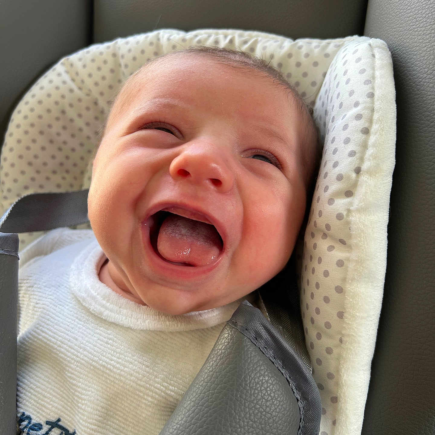 énéa a rejoint le concours — aidez-le/la à gagner de superbes lots ! baby, babylaughing, bodypart, crying, cushion, face, furniture, happy, head, homedecor, laughing, mouth, newborn, person, photography, portrait, sad, smile, yawning