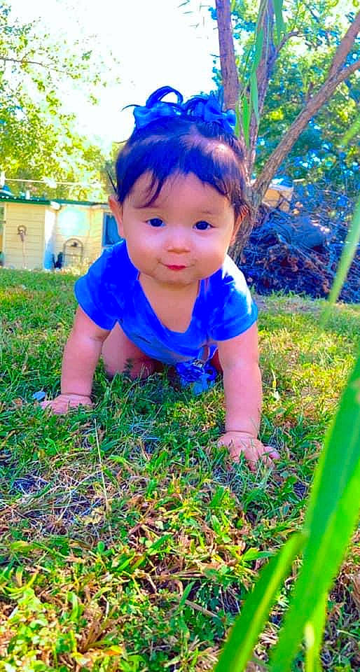 Willow is registered to the contest to win money with this photo: baby, baby_toddler_clothing, electric_blue, fun, grass, grass_family, grassland, green, groundcover, happy, leisure, people_in_nature, person, plant, purple, summer, sunlight, terrestrial_plant, toddler, tree