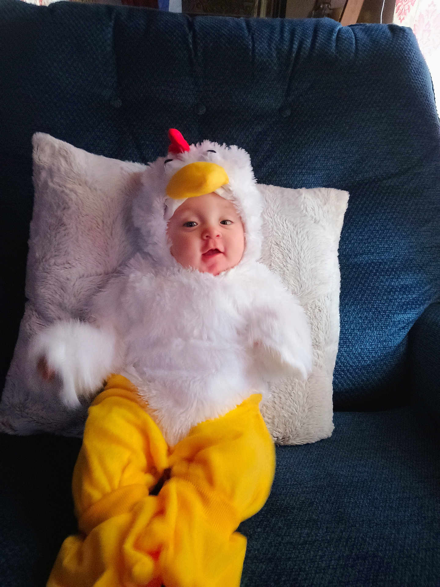 Kendra is registered to the contest to win money with this photo: baby, costume, chicken_costume, yellow_pants, white_fluffy, couch, pillow, indoor, child, face, smiling, seated, cute, soft_texture, plush, person, cozy, home, portrait, funny