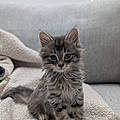 Sally H.