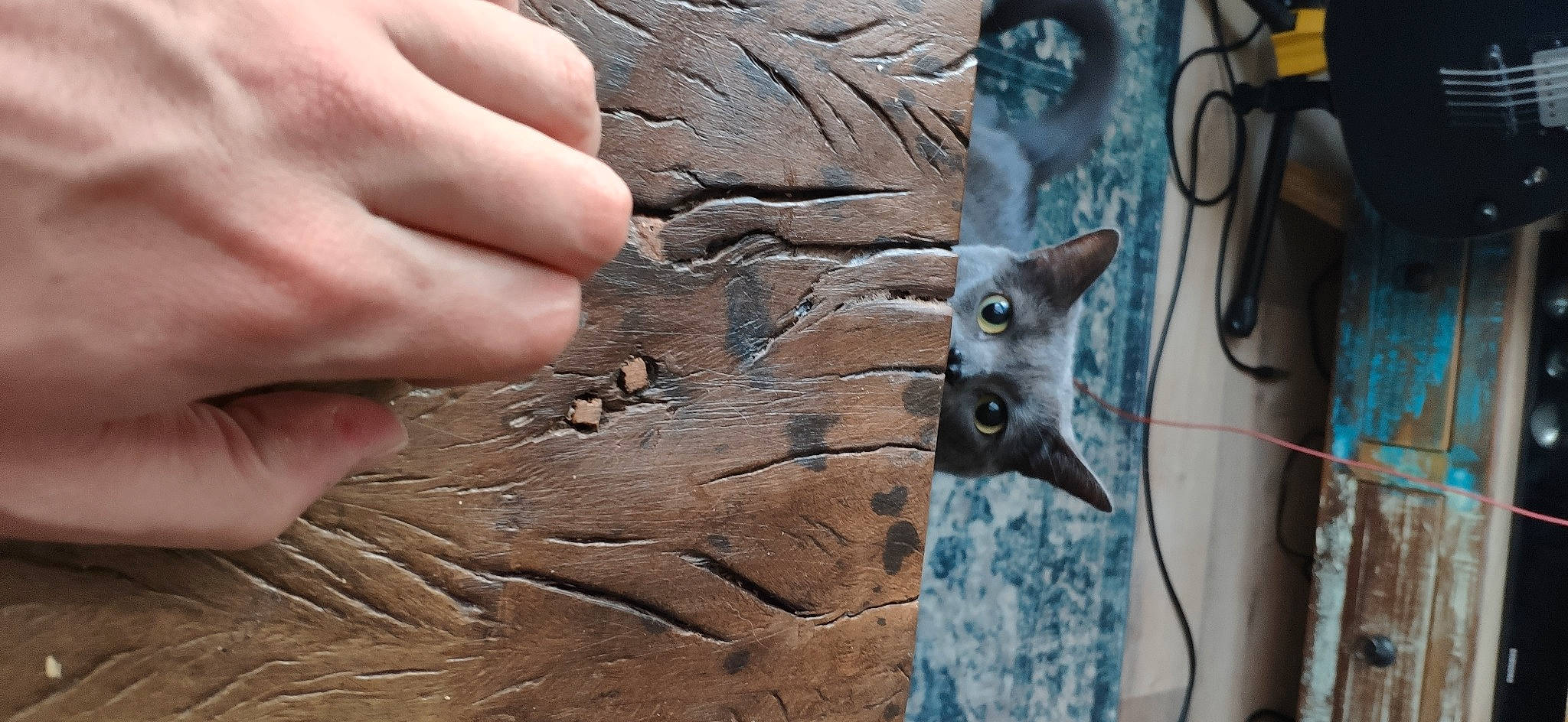 Sushi participe au concours pour gagner de l'argent avec cette photo : art, artifact, carnivore, carving, electric_blue, felidae, finger, grey, hardwood, metal, nail, rock, soil, tail, thumb, trunk, visual_arts, wildlife, wood, wood_stain