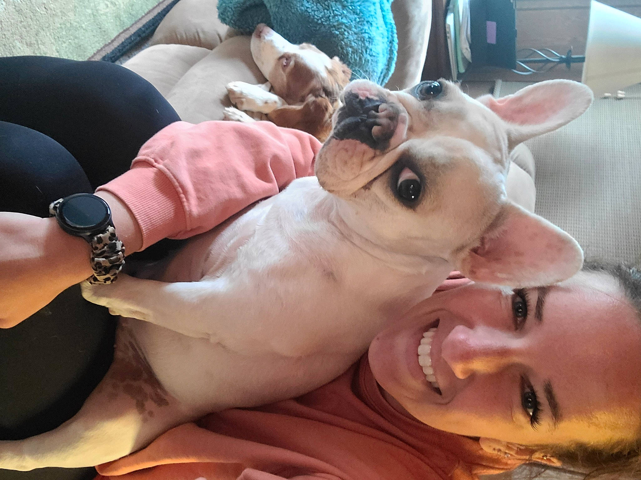 Bowie joined the competition — help win amazing prizes! chest, comfort, companion_dog, dog_breed, ear, eyelash, eyewear, fawn, gesture, happy, jaw, leisure, selfie, smile, snout, sunglasses, vision_care, watch, working_animal, wrinkle