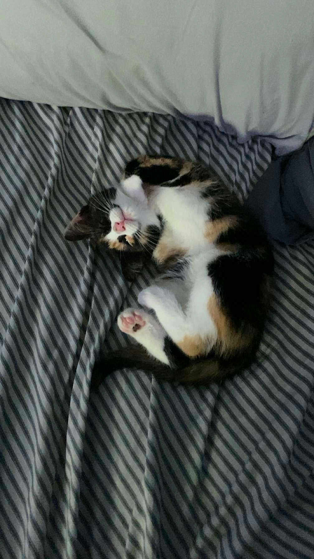 Winnie