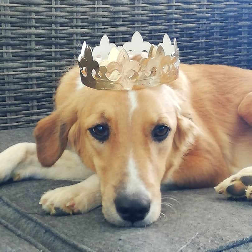 Wanda