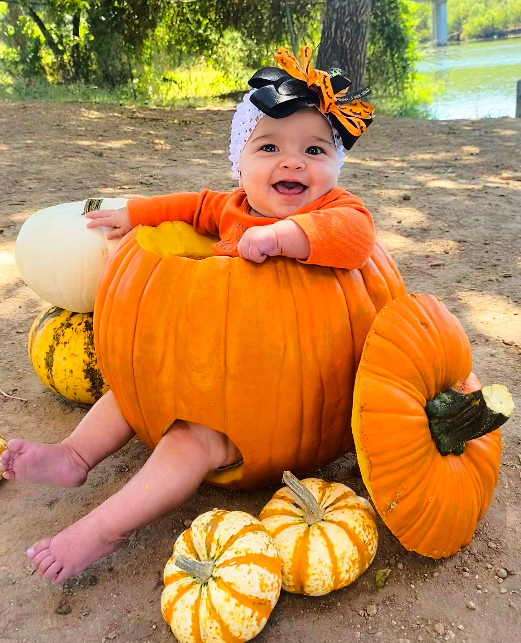 Xavia joined the competition — help win amazing prizes! calabaza, cucurbita, fruit, gourd, grass, happy, hat, head, headwear, joy, local_food, natural_foods, orange, people_in_nature, person, plant, pumpkin, smile, squash, toddler