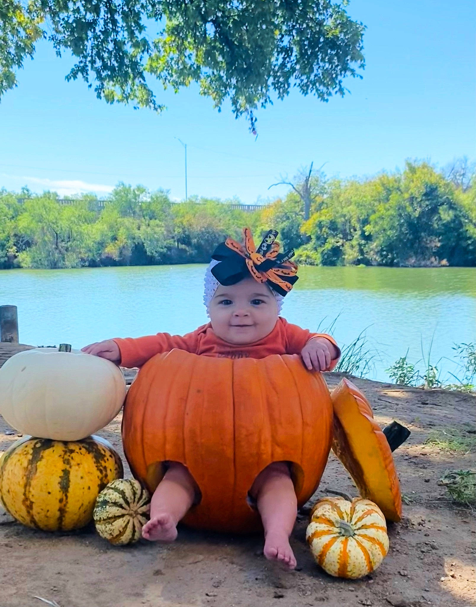 Xavia joined the competition — help win amazing prizes! art, calabaza, cucurbita, gourd, grass, hat, headwear, joy, lake, landscape, leisure, morning, person, plant, pumpkin, recreation, sky, squash, travel, tree