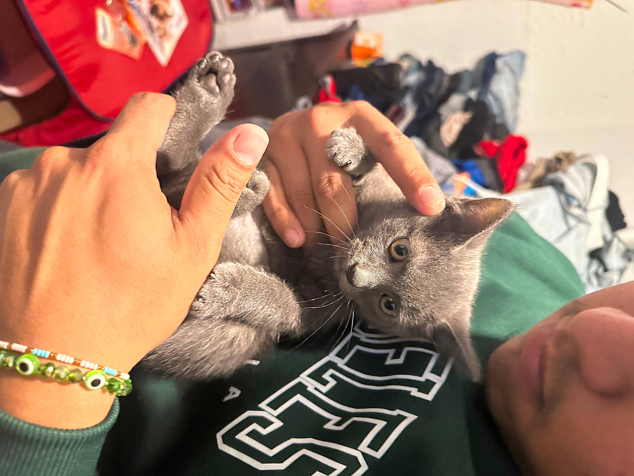 Lili joined the competition — help win amazing prizes! art, bangle, bird, body_jewelry, bracelet, carmine, fashion_accessory, felidae, finger, fur, gesture, jewellery, nail, pattern, safety_glove, t_shirt, thumb, wildlife_biologist, wrist, wristband