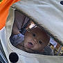 Swan a rejoint le concours — aidez-le/la à gagner de superbes lots ! baby, baby_clothing, canopy, child, closeup, curious, expression, fabric, face, head, infant, mesh, outdoor, parenting, seat, soft, stroller, sunlight, transport, window