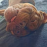 dog, brown_dog, sleeping, sleepy, wrinkled, floppy_ears, tongue, muzzle, close_up, portrait, indoor, bed, blanket, relaxed, cute, pet, canine, upside_down, nap, cozy