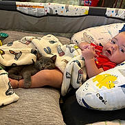 Connor is registered to the contest to win money with this photo: baby, kitten, blanket, pillow, dinosaur_pattern, red_clothing, cute, indoor, sleeping_cat, infant, child, resting, cozy, pet, animal, soft_toys, playpen, comfort, face, legs