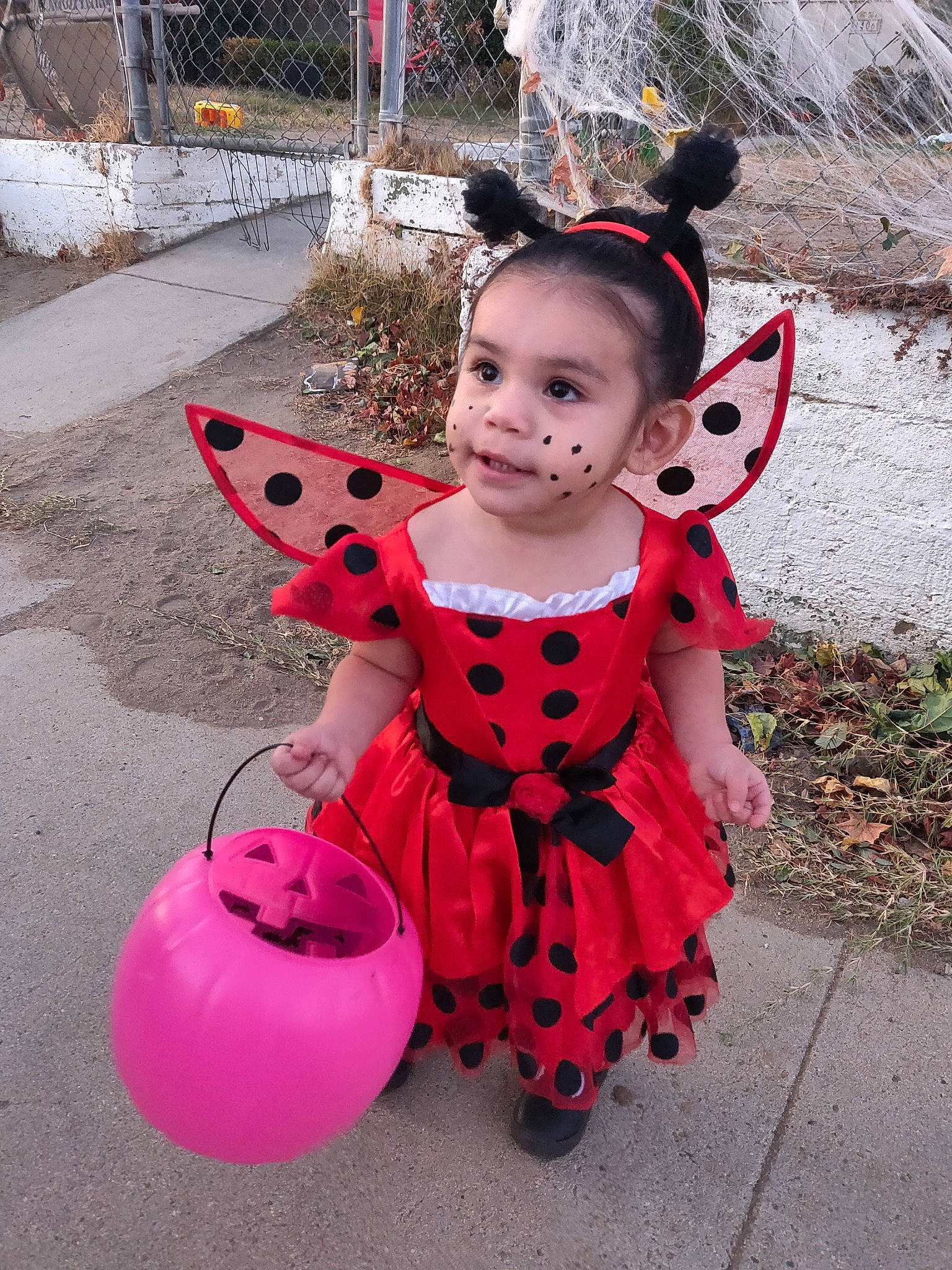 Lilyana Grace joined the competition — help win amazing prizes! beetle, child, costume, design, ladybug, pattern, person, pink, smile, toddler, trick_or_treat