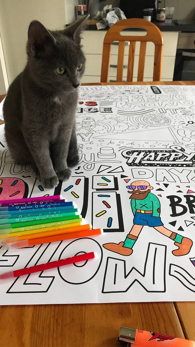 Grito a rejoint le concours — aidez-le/la à gagner de superbes lots ! carnivore, cat, crossword, domestic_short_haired_cat, felidae, floor, flooring, kitten, paper, pattern, photo_caption, puzzle, small_to_medium_sized_cats, toy, whiskers