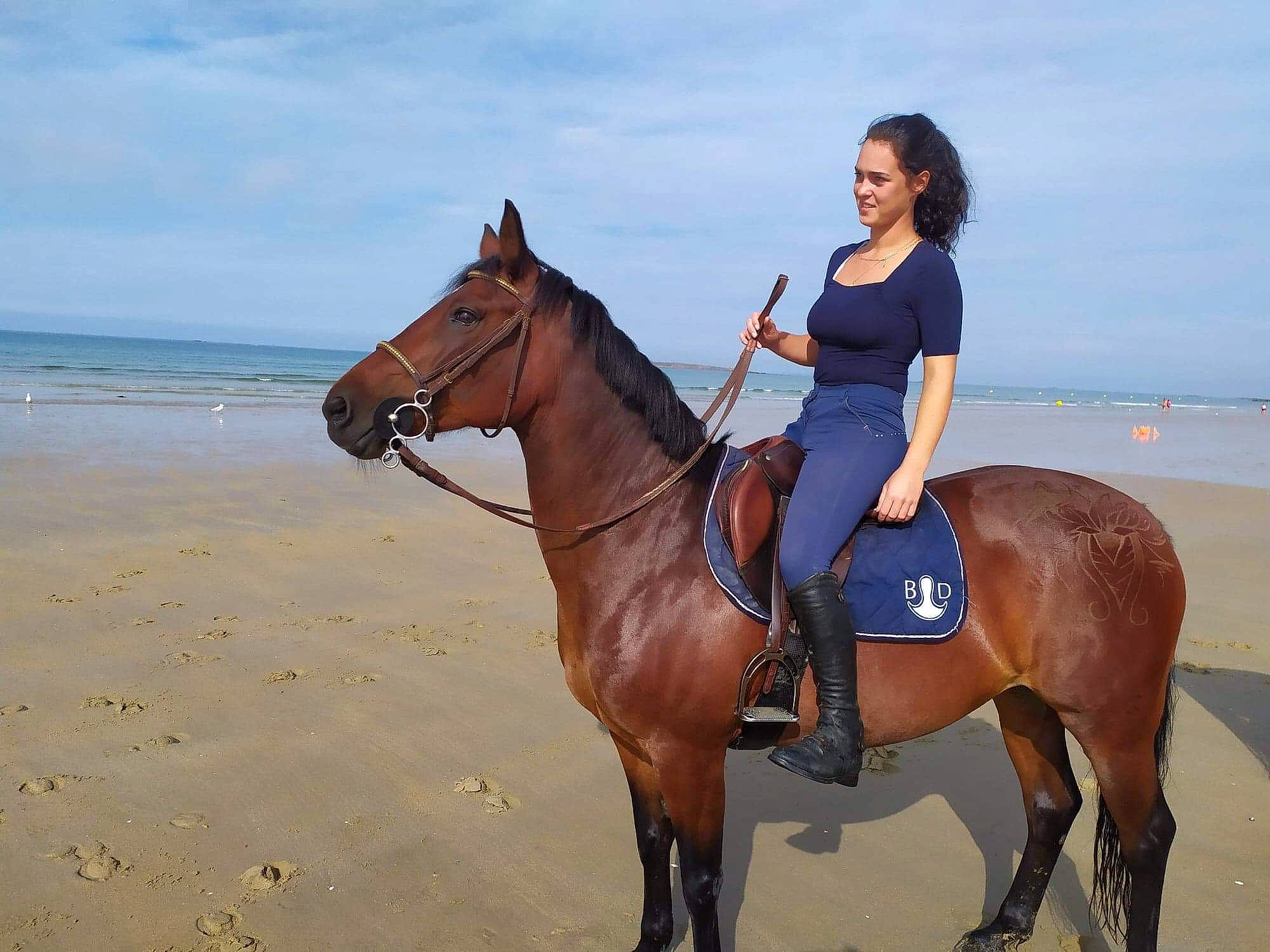 Maggie participe au concours pour gagner de l'argent avec cette photo : animal_sports, bridle, equestrian_sport, equestrianism, halter, horse, horse_supplies, horse_tack, mammal, mane, mare, mustang_horse, pack_animal, recreation, rein, riding_instructor, saddle, stallion, trail_riding, vertebrate