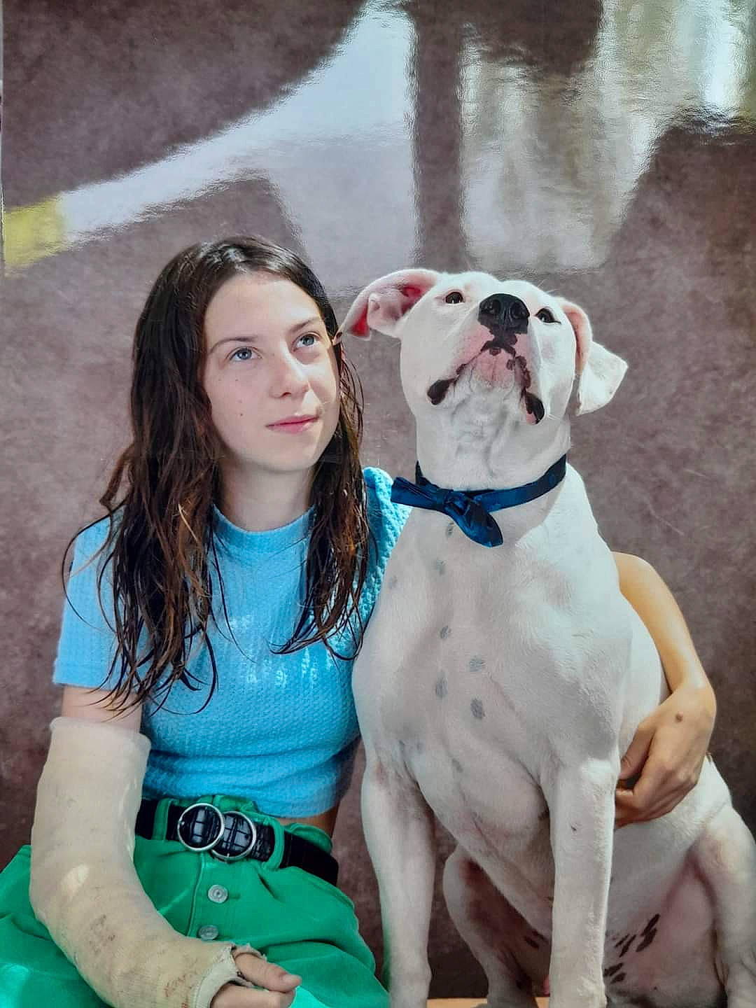 Sokrate participe au concours pour gagner de l'argent avec cette photo : ancient_dog_breeds, canidae, carnivore, collar, companion_dog, dog, dog_breed, dog_collar, dog_supply, fawn, formal_wear, guard_dog, happy, jewellery, leash, non_sporting_group, snout, sporting_group, working_animal, working_dog