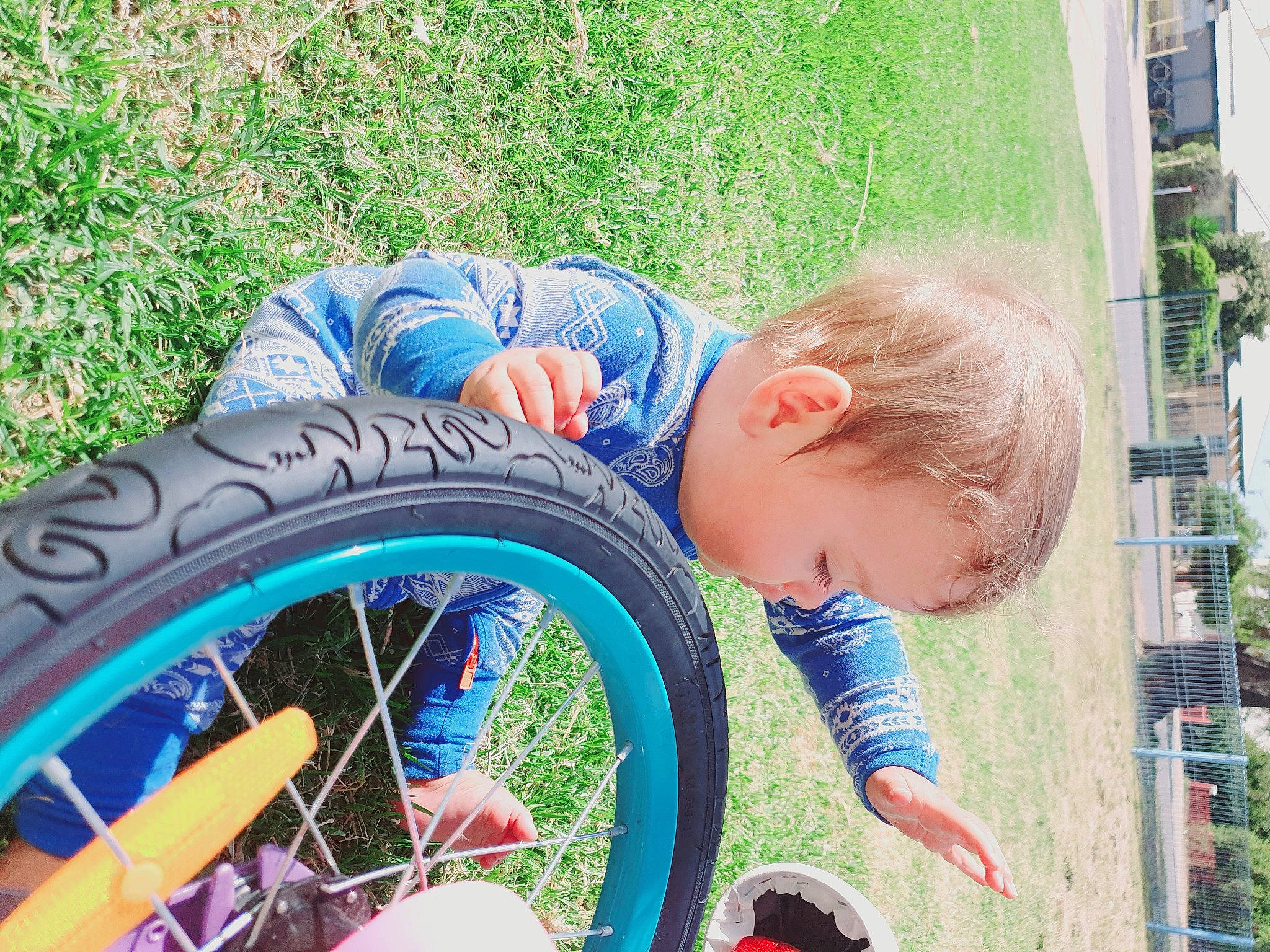 Geoffrey is registered to the contest to win money with this photo: automotive_tire, baby_toddler_clothing, bicycle_tire, bicycle_wheel, child, fun, grass, leaf, leisure, nature, people, people_in_nature, person, photograph, plant, public_space, summer, tire, toddler, tree