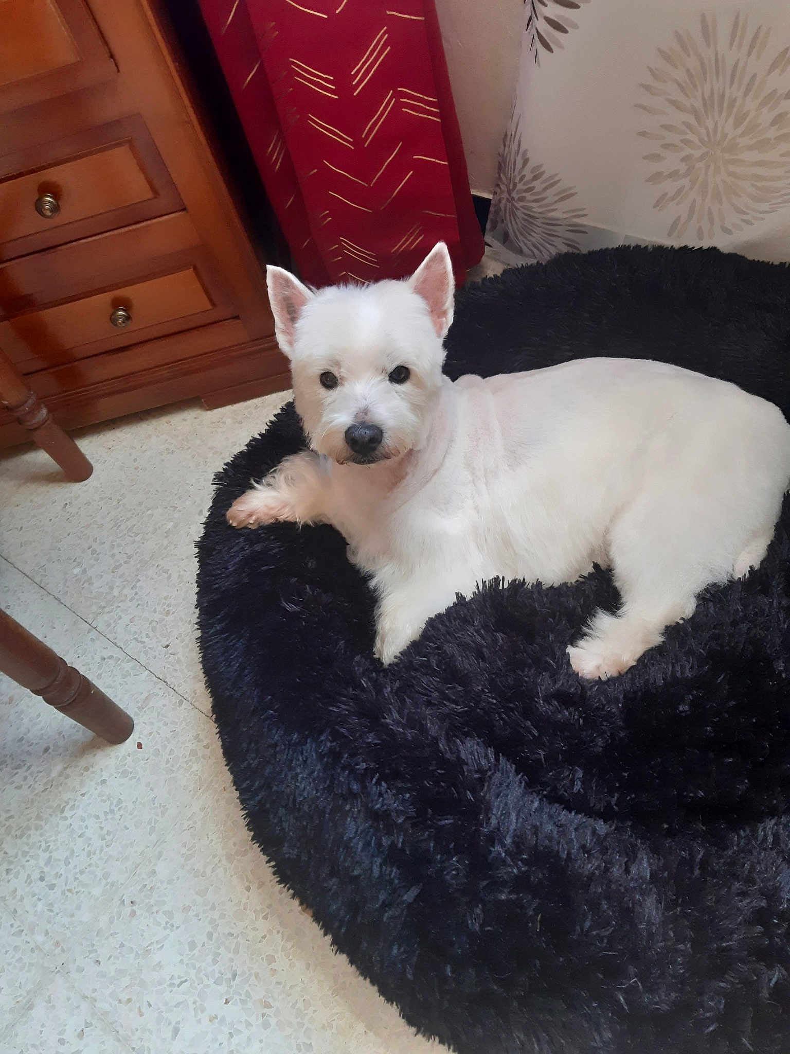 Betty